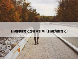 日照网站优化选哪家公司（日照方案优化）