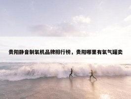 贵阳静音制氧机品牌排行榜，贵阳哪里有氧气罐卖