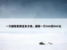 一只藏獒更便宜多少钱，藏獒一只500到900元