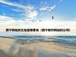 西宁网站优化加盟哪里有（西宁制作网站的公司）