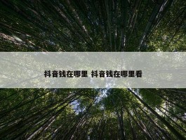 抖音钱在哪里 抖音钱在哪里看